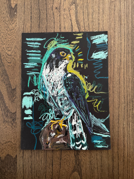 "Falcon" Original Drawing
